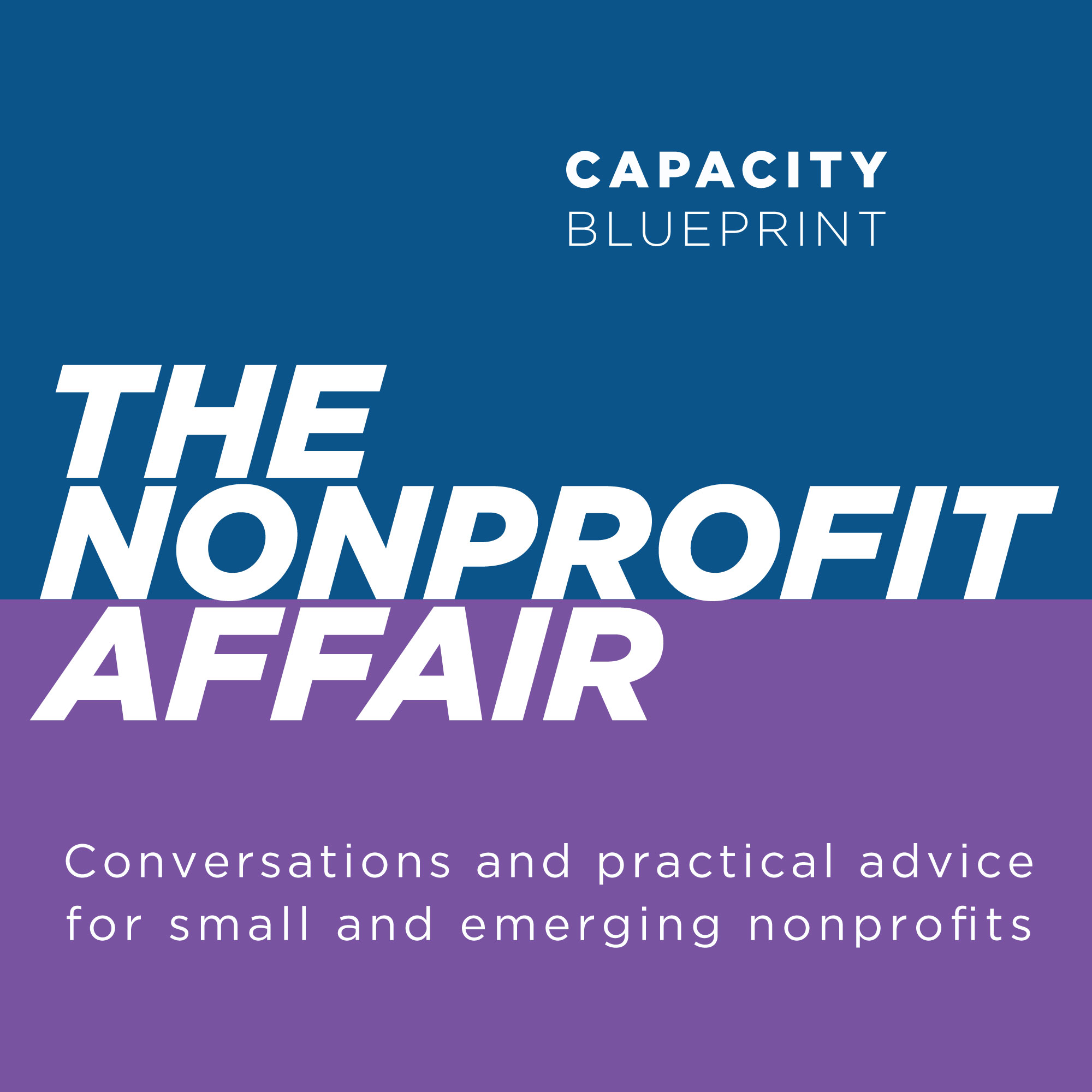 The Nonprofit Affair podcast artwork